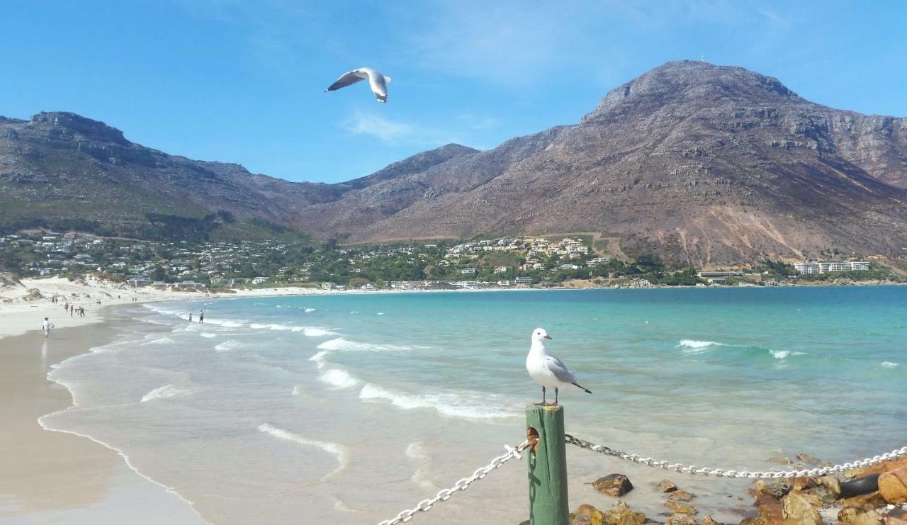 Hout Bay Beach Cottage Extérieur photo
